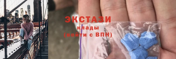 гидра Няндома