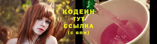 2c-b Осташков