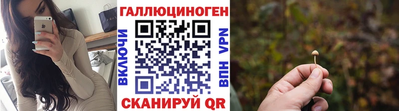 дарнет шоп  Андреаполь  Галлюциногенные грибы Psilocybine cubensis 